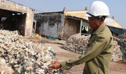 Nam Định: Đảm bảo con giống chất lượng cho người dân