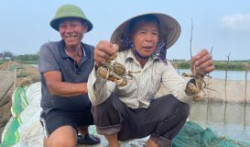Lợi ích kép từ mô hình nuôi xen ghép thủy sản