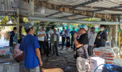 Bình Định tăng cường chuyển giao kỹ thuật nuôi trồng thủy sản cho nông dân