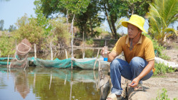Phương pháp quản lý độ mặn ao nuôi