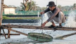 Giám sát chặt dịch bệnh