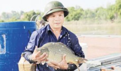 Bắc Ninh: Nuôi cá lồng đưa nông dân thoát nghèo, làm giàu