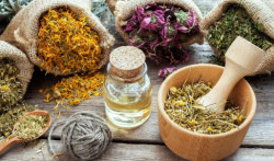 Sử dụng thảo dược phòng trị bệnh hoại tử gan tụy cấp