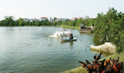 Hà Nội: Kỳ vọng tạo sức bật từ nguồn lực sông, hồ trong phát triển thủy sản