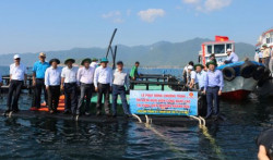 Khánh Hòa: Hiệu quả bước đầu nuôi thủy sản tại vùng biển hở
