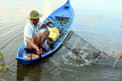 Lưu ý nuôi tôm sú quảng canh mùa mưa