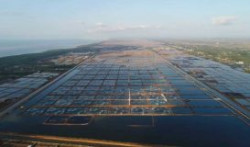 ‘Xanh hóa’ – Ngành tôm phải xắn tay mà bắt nhịp