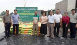 Nuôi cá rô phi 78: Bước tiến mới trong phát triển thủy sản ở Hải Dương