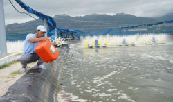 Kỹ thuật xi phông ao nuôi